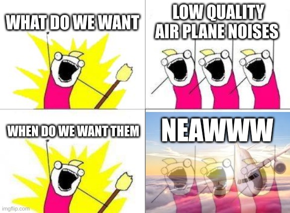 Airplane | WHAT DO WE WANT; LOW QUALITY AIR PLANE NOISES; NEAWWW; WHEN DO WE WANT THEM | image tagged in memes,what do we want | made w/ Imgflip meme maker