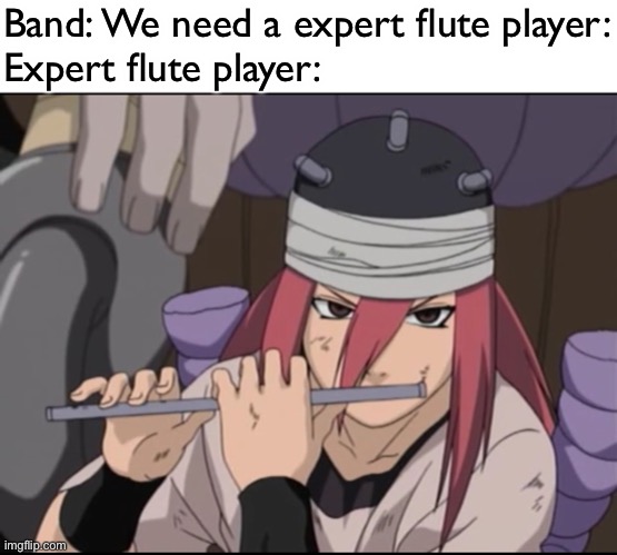 If Tayuya was alive, maybe a musical band would need her…am I right? | Band: We need a expert flute player:
Expert flute player: | image tagged in music,music bands,flute,memes,tayuya,naruto shippuden | made w/ Imgflip meme maker