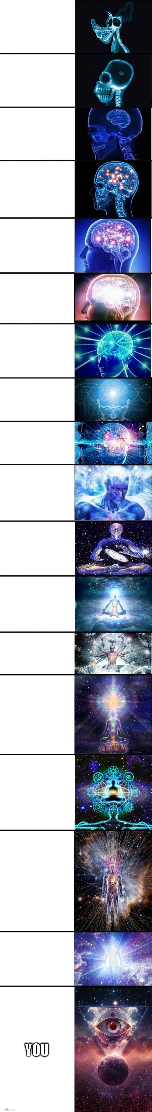 expanding brain: 9001 | YOU | image tagged in expanding brain 9001 | made w/ Imgflip meme maker