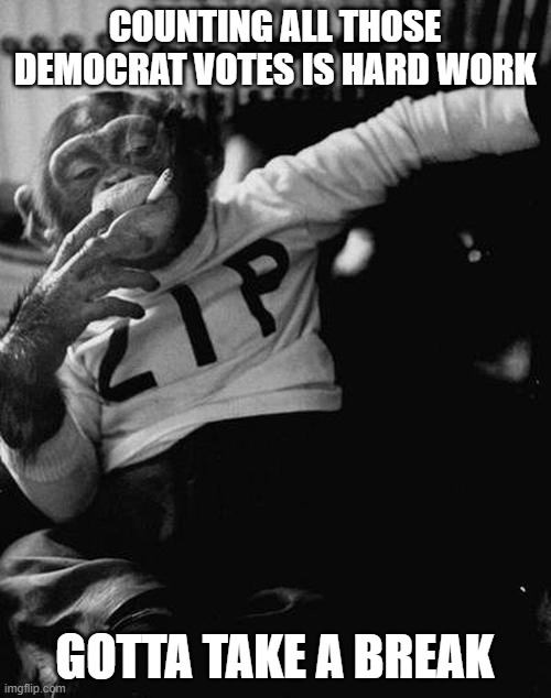 smoking monkey  | COUNTING ALL THOSE DEMOCRAT VOTES IS HARD WORK GOTTA TAKE A BREAK | image tagged in smoking monkey | made w/ Imgflip meme maker