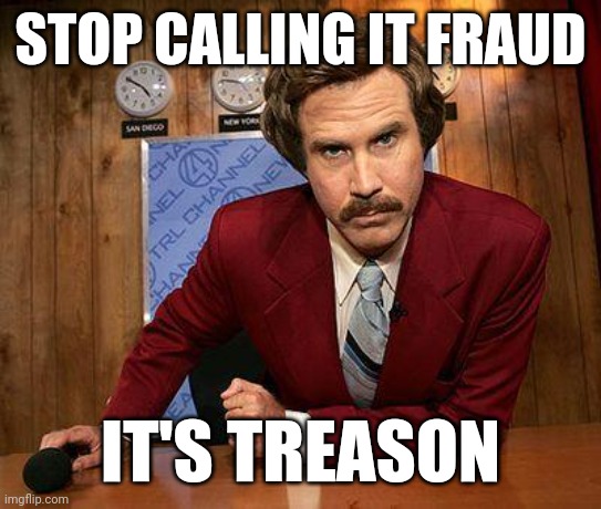 Please call it what it is. | STOP CALLING IT FRAUD; IT'S TREASON | image tagged in ron burgundy | made w/ Imgflip meme maker