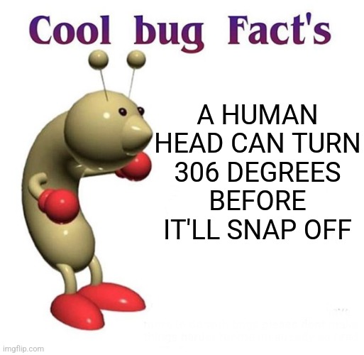 Don't ask where i got the fact from | A HUMAN HEAD CAN TURN 306 DEGREES BEFORE IT'LL SNAP OFF | image tagged in cool bug facts,memes,dark humor | made w/ Imgflip meme maker