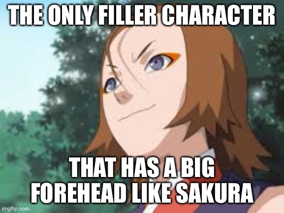 The other big forehead queen but filler | THE ONLY FILLER CHARACTER; THAT HAS A BIG FOREHEAD LIKE SAKURA | image tagged in fillers,memes,naruto fillers,naruto shippuden,forehead | made w/ Imgflip meme maker