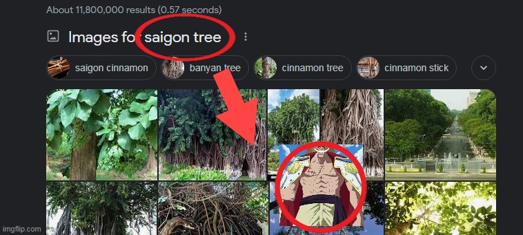 SAIGON TREE IS REAL!!!!! | made w/ Imgflip meme maker