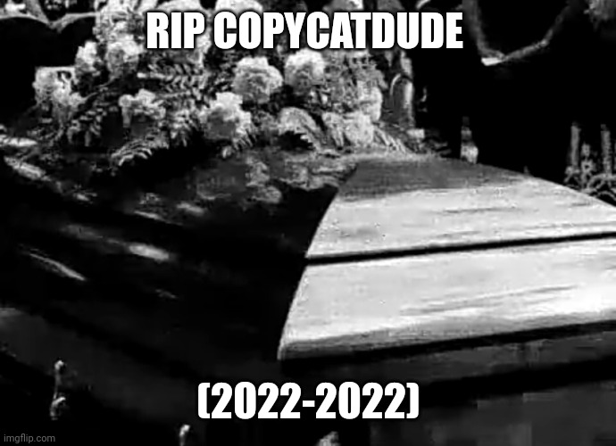 R. I. P. Copycatdude (2022-2022) | RIP COPYCATDUDE; (2022-2022) | image tagged in mr incredible becoming sad phase,rip | made w/ Imgflip meme maker