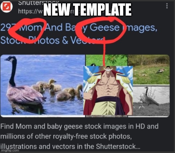 THE ONE PIECE IS REAL | NEW TEMPLATE | image tagged in the one piece is real | made w/ Imgflip meme maker