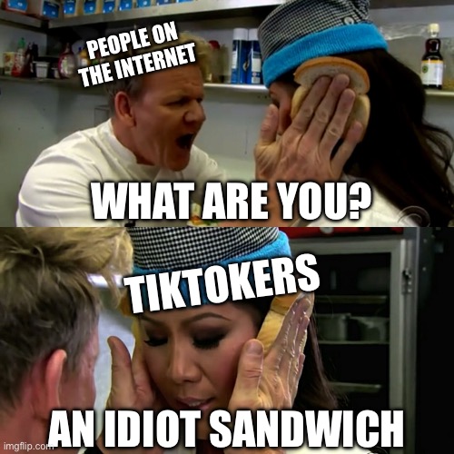 TikTokers are idiot sandwiches | PEOPLE ON THE INTERNET; WHAT ARE YOU? TIKTOKERS; AN IDIOT SANDWICH | image tagged in gordon ramsay idiot sandwich | made w/ Imgflip meme maker