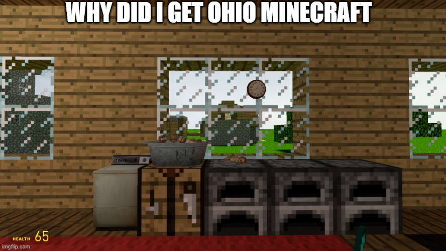Ohio minecraft | WHY DID I GET OHIO MINECRAFT | image tagged in ohio,minecraft,cursed image,why are you reading this | made w/ Imgflip meme maker