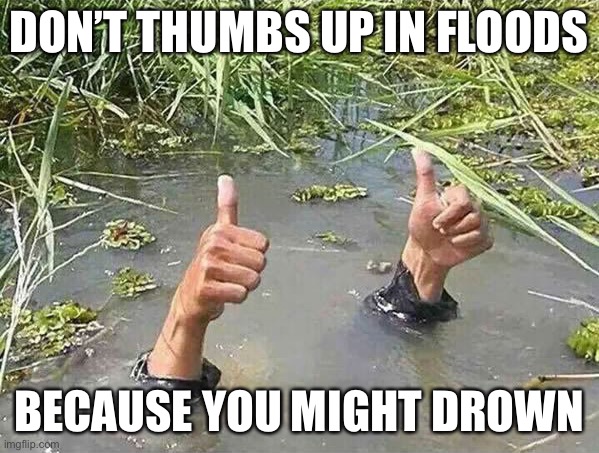 Don’t do this! | DON’T THUMBS UP IN FLOODS; BECAUSE YOU MIGHT DROWN | image tagged in i'm fine,drowning,memes,flood,weather,flooding thumbs up | made w/ Imgflip meme maker