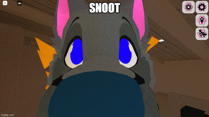 snoot | SNOOT | image tagged in snoot | made w/ Imgflip meme maker