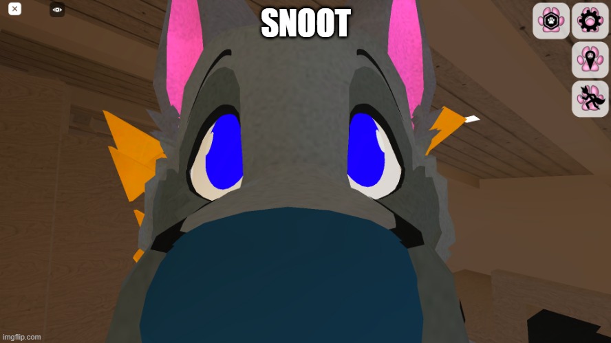 snoot | SNOOT | image tagged in snoot | made w/ Imgflip meme maker