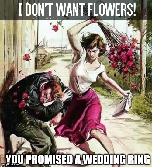 No Flowers I want | YOU PROMISED A WEDDING RING | image tagged in no flowers i want | made w/ Imgflip meme maker