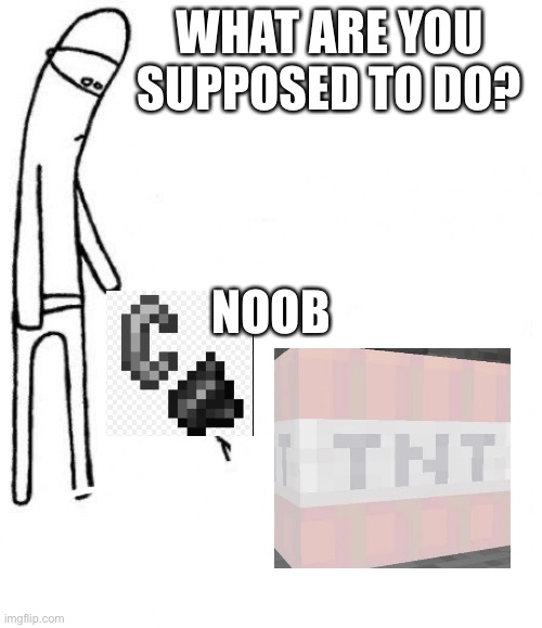 Cmondosomethingmeme was blown up by a block of tnt | WHAT ARE YOU SUPPOSED TO DO? NOOB | image tagged in c'mon do something | made w/ Imgflip meme maker