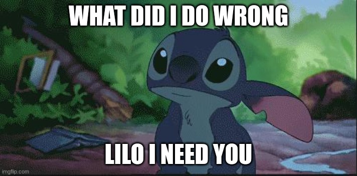 Stich | WHAT DID I DO WRONG; LILO I NEED YOU | image tagged in stich | made w/ Imgflip meme maker