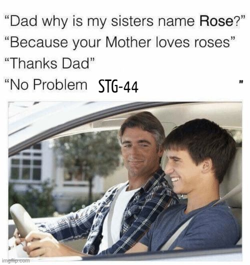 Why is my sister's name Rose | STG-44 | image tagged in why is my sister's name rose | made w/ Imgflip meme maker