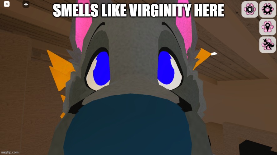 snoot | SMELLS LIKE VIRGINITY HERE | image tagged in snoot | made w/ Imgflip meme maker