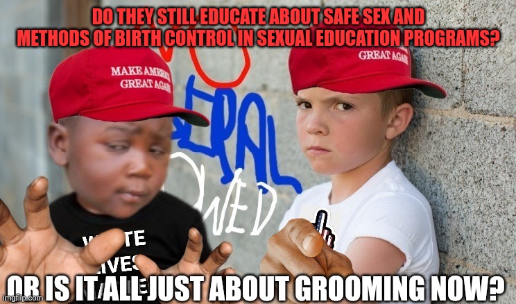 DO THEY STILL EDUCATE ABOUT SAFE SEX AND METHODS OF BIRTH CONTROL IN SEXUAL EDUCATION PROGRAMS? OR IS IT ALL JUST ABOUT GROOMING NOW? | made w/ Imgflip meme maker