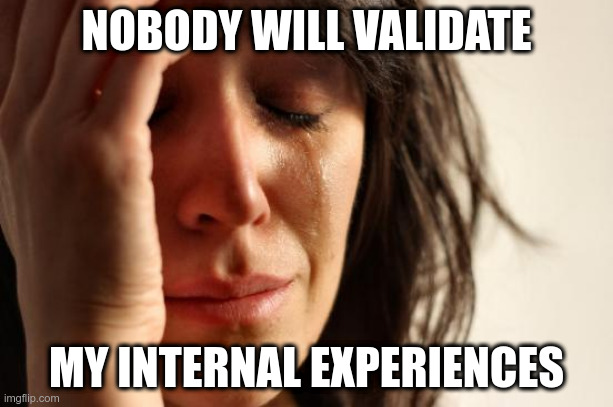First World Problems Meme | NOBODY WILL VALIDATE; MY INTERNAL EXPERIENCES | image tagged in memes,first world problems | made w/ Imgflip meme maker