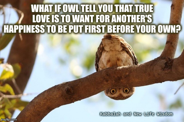 owl always love you |  WHAT IF OWL TELL YOU THAT TRUE LOVE IS TO WANT FOR ANOTHER'S HAPPINESS TO BE PUT FIRST BEFORE YOUR OWN? Kabbalah and New Life Wisdom | image tagged in well howdy there,hoot,lovelt,owl,i will | made w/ Imgflip meme maker