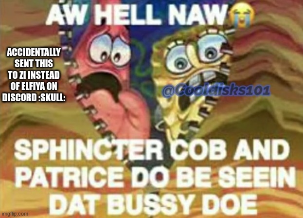 ACCIDENTALLY SENT THIS TO ZI INSTEAD OF ELFIYA ON DISCORD :SKULL: | made w/ Imgflip meme maker