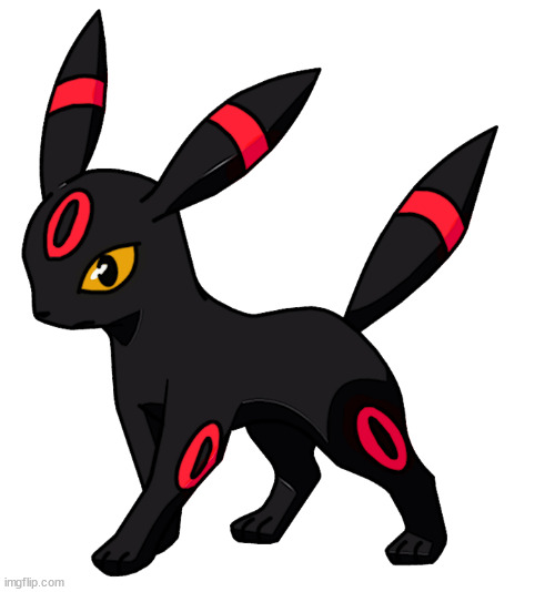steve the red umbreon | image tagged in steve the red umbreon | made w/ Imgflip meme maker