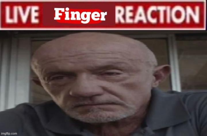 live finger reaction | image tagged in live finger reaction | made w/ Imgflip meme maker