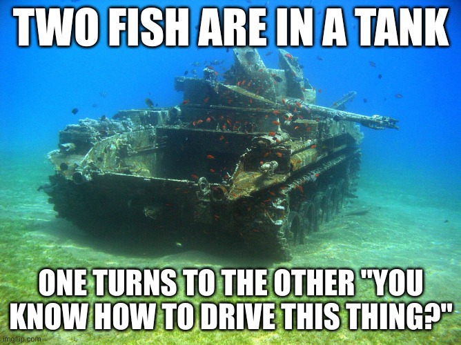 Fish Tank | TWO FISH ARE IN A TANK; ONE TURNS TO THE OTHER "YOU KNOW HOW TO DRIVE THIS THING?" | image tagged in fish tank | made w/ Imgflip meme maker