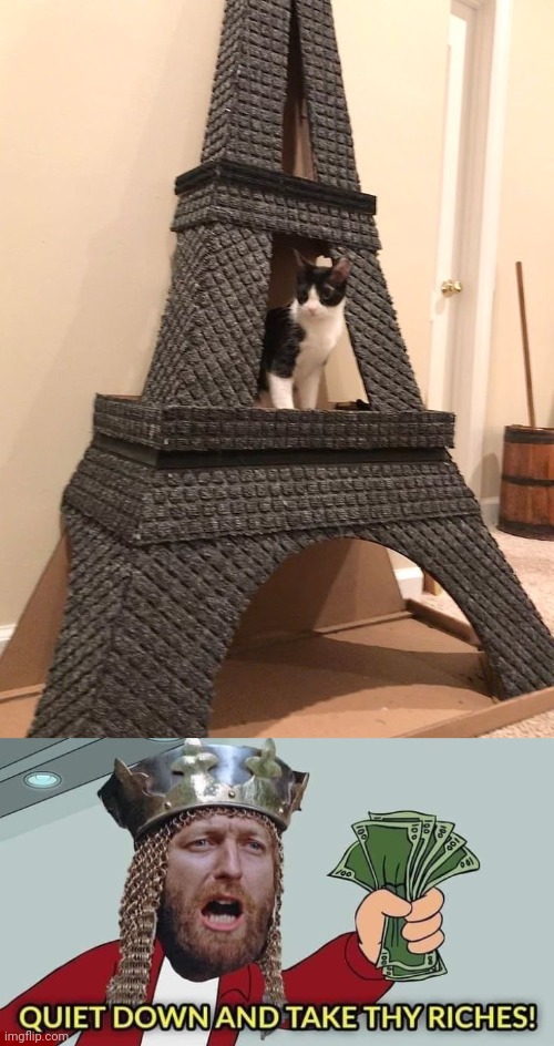 Cat and Eiffel tower playhouse | image tagged in quiet down and take thy riches,eiffel tower,cats,cat,memes,playhouse | made w/ Imgflip meme maker