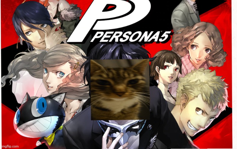 High quality Persona 5 photoshop with my cat's face staring right into your soul | image tagged in photoshop | made w/ Imgflip meme maker