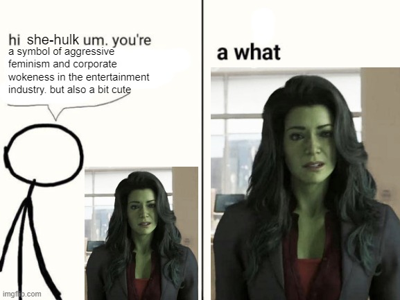 what has i don | she-hulk; a symbol of aggressive feminism and corporate wokeness in the entertainment industry. but also a bit cute | image tagged in scrunkly scrimblo,she hulk,woke,disney,marvel,memes | made w/ Imgflip meme maker