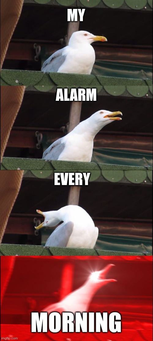 My Alarm Be Like: | MY; ALARM; EVERY; MORNING | image tagged in memes,inhaling seagull,alarm clock,screaming bird | made w/ Imgflip meme maker