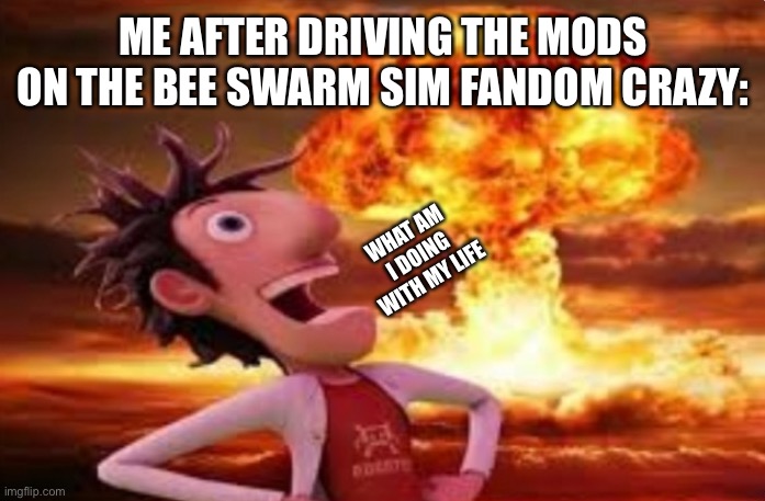 What am I doing with my life anymore? | ME AFTER DRIVING THE MODS ON THE BEE SWARM SIM FANDOM CRAZY:; WHAT AM I DOING WITH MY LIFE | image tagged in flint lockwood explosion | made w/ Imgflip meme maker