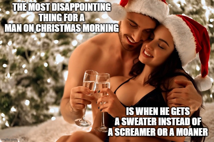 Sad Decemeber 25 | THE MOST DISAPPOINTING THING FOR A MAN ON CHRISTMAS MORNING; IS WHEN HE GETS A SWEATER INSTEAD OF A SCREAMER OR A MOANER | image tagged in sex jokes | made w/ Imgflip meme maker
