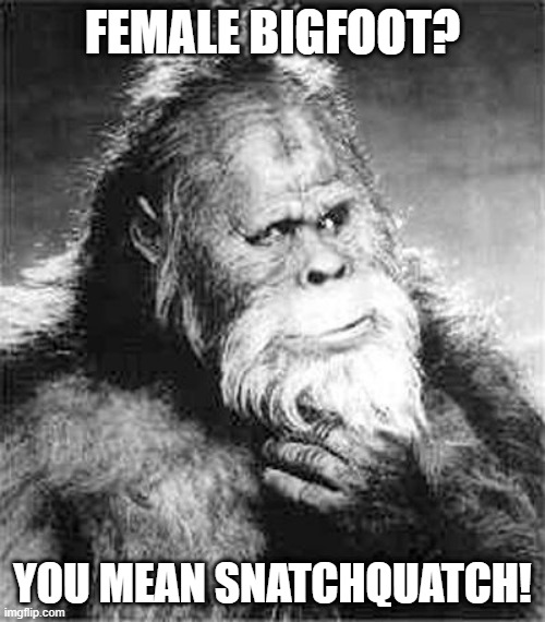 Female Bigfoot | FEMALE BIGFOOT? YOU MEAN SNATCHQUATCH! | image tagged in bigfoot | made w/ Imgflip meme maker