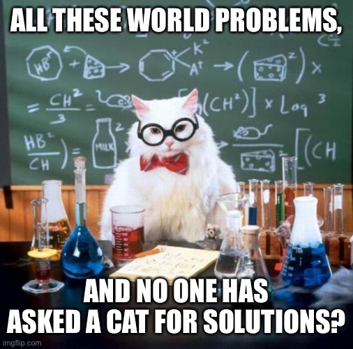 After all, cats figured out how to get humans to take care of their every need! | ALL THESE WORLD PROBLEMS, AND NO ONE HAS ASKED A CAT FOR SOLUTIONS? | image tagged in memes,chemistry cat,world problems,cat solutions | made w/ Imgflip meme maker