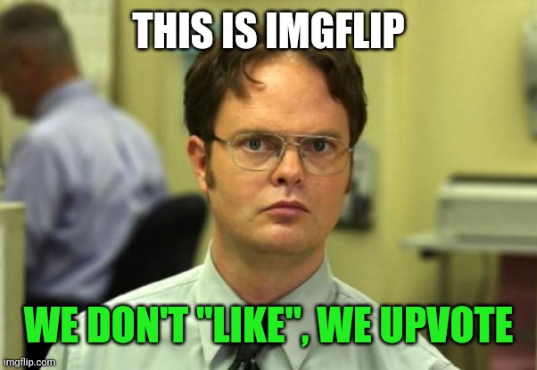 Dwight Schrute Meme | THIS IS IMGFLIP WE DON'T "LIKE", WE UPVOTE | image tagged in memes,dwight schrute | made w/ Imgflip meme maker