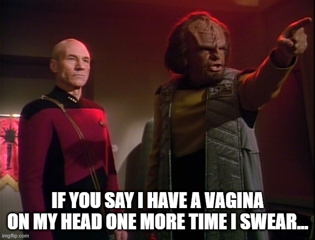 Don't Say It | IF YOU SAY I HAVE A VAGINA ON MY HEAD ONE MORE TIME I SWEAR... | image tagged in worf | made w/ Imgflip meme maker