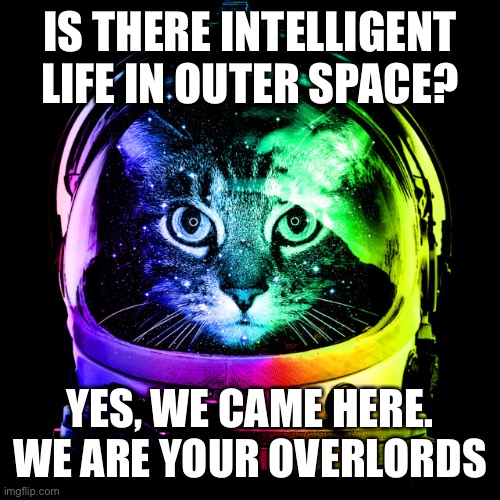 Intelligent life in outer space has colonized Earth | IS THERE INTELLIGENT LIFE IN OUTER SPACE? YES, WE CAME HERE. WE ARE YOUR OVERLORDS | image tagged in cat astronaut,intelligent,outer space | made w/ Imgflip meme maker