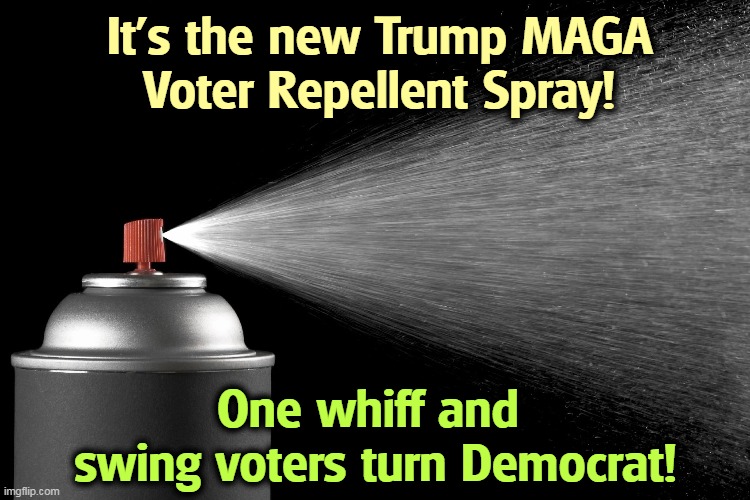 Everybody hates MAGA. | It's the new Trump MAGA
Voter Repellent Spray! One whiff and 
swing voters turn Democrat! | image tagged in trump,maga,smell,independent,voters,democrat | made w/ Imgflip meme maker