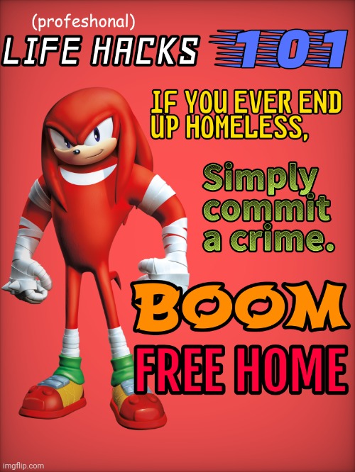 Sonic Boom Knuckles gives you life advice | image tagged in life hack,sonic boom,knuckles,homeless,life advice | made w/ Imgflip meme maker