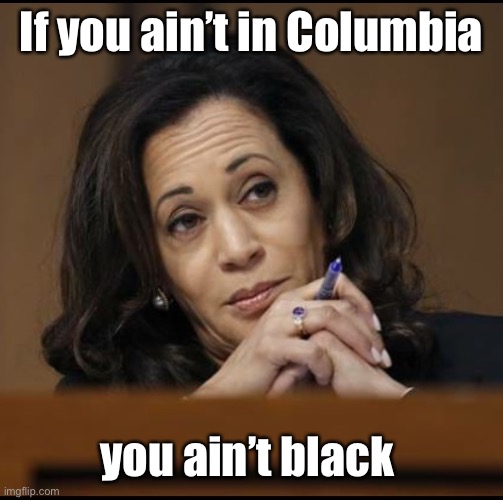 Kamala Harris  | If you ain’t in Columbia you ain’t black | image tagged in kamala harris | made w/ Imgflip meme maker