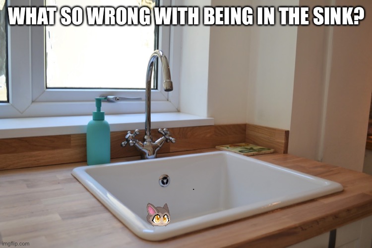 Kitchen Sink | WHAT SO WRONG WITH BEING IN THE SINK? | image tagged in kitchen sink | made w/ Imgflip meme maker