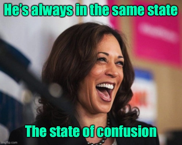 cackling kamala harris | He’s always in the same state The state of confusion | image tagged in cackling kamala harris | made w/ Imgflip meme maker