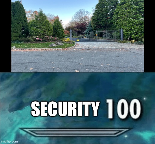 Wow so secure! | SECURITY | image tagged in skyrim skill meme,funny,memes,meme,funny memes | made w/ Imgflip meme maker