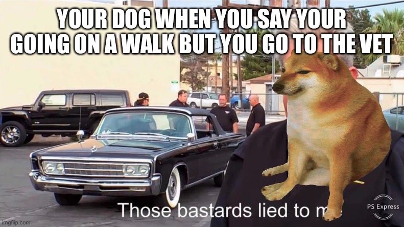 Doggo | YOUR DOG WHEN YOU SAY YOUR GOING ON A WALK BUT YOU GO TO THE VET | image tagged in those basterds lied to me,memes | made w/ Imgflip meme maker