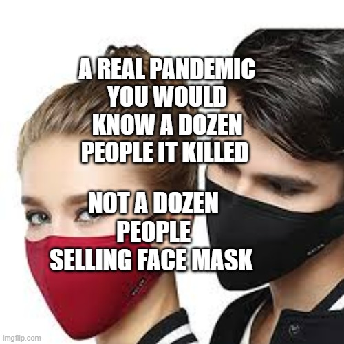 Mask Couple | A REAL PANDEMIC YOU WOULD KNOW A DOZEN PEOPLE IT KILLED; NOT A DOZEN PEOPLE SELLING FACE MASK | image tagged in mask couple | made w/ Imgflip meme maker