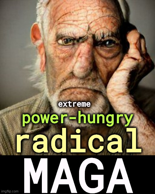 extreme; power-hungry; radical; MAGA | image tagged in maga,extreme,power hungry,radical,haters | made w/ Imgflip meme maker