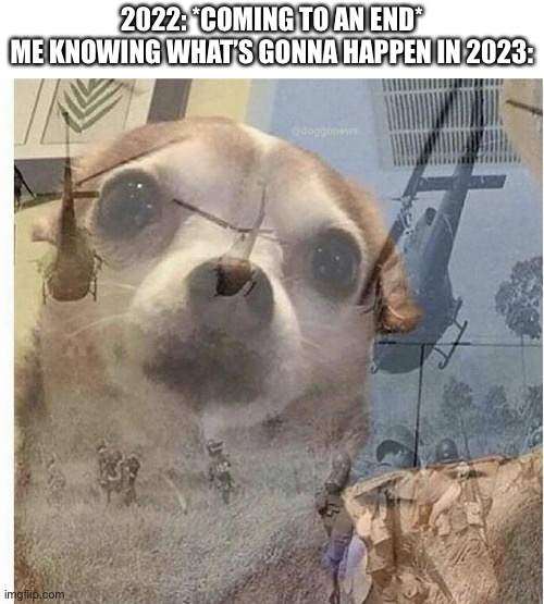 What’s next? | 2022: *COMING TO AN END*
ME KNOWING WHAT’S GONNA HAPPEN IN 2023: | image tagged in ptsd chihuahua,2022,2023,memes,funny,dank memes | made w/ Imgflip meme maker
