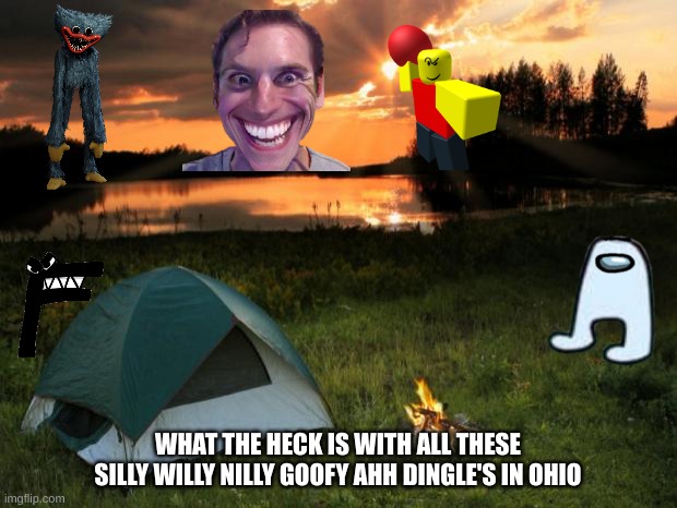 what the hot and crispy kentucky fried fu- | WHAT THE HECK IS WITH ALL THESE SILLY WILLY NILLY GOOFY AHH DINGLE'S IN OHIO | image tagged in ohio | made w/ Imgflip meme maker
