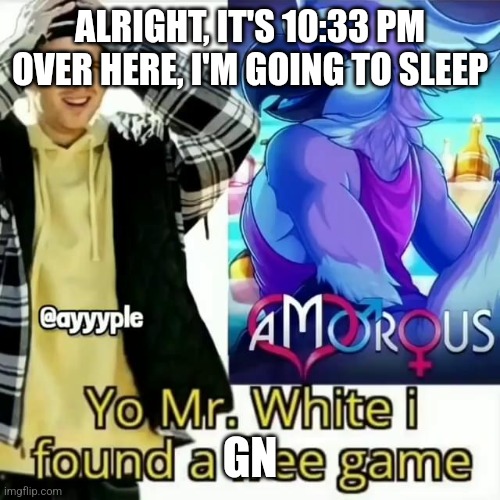 Yo Mr. White i found a free game | ALRIGHT, IT'S 10:33 PM OVER HERE, I'M GOING TO SLEEP; GN | image tagged in yo mr white i found a free game | made w/ Imgflip meme maker